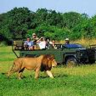 Afbeelding voor Riksja - Panoramaroute en Kruger