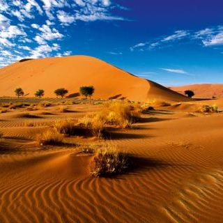 Afbeelding voor Koning Aap - Rondreizen Namibië (groep)