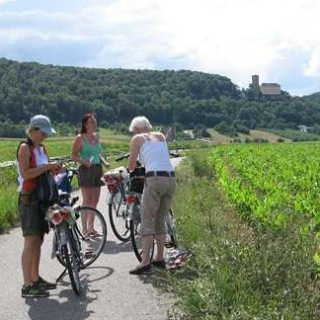 Afbeelding voor TUI - Fietsvakantie Duitsland