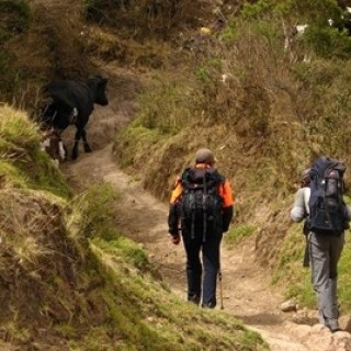 Afbeelding voor SNP - Wandelreis Ecuador