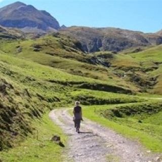 Afbeelding voor SNP - Natuurvakantie Frankrijk