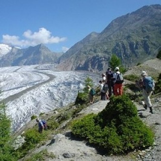 Afbeelding voor SNP - Wandel- en Natuurreizen Zwitserland