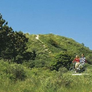 Afbeelding voor Landal Green Parks - Schiermonnikoog