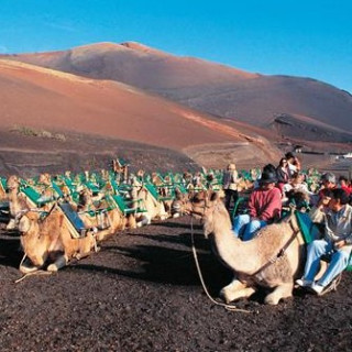 Afbeelding voor TUI - Vakantie Lanzarote