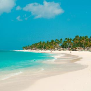 Afbeelding voor TUI - Vakantie aan het strand