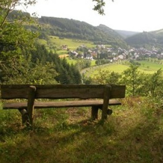 Afbeelding voor SNP - Natuurvakantie Eifel (v.a. 4 dagen)