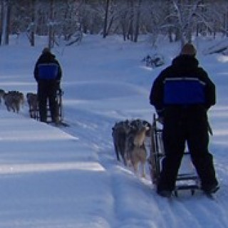 Afbeelding voor Djoser - Fins Lapland met kinderen