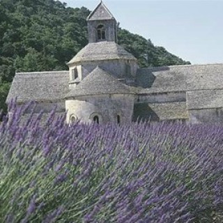 Afbeelding voor SNP - Fietsen / wandelen Provence