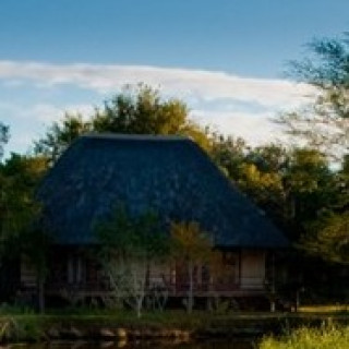 Afbeelding voor Sefapane Lodge & Safaris