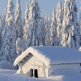 Afbeelding voor Sawadee - Sneeuwsafari