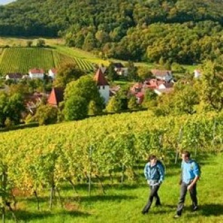 Afbeelding voor Landal - Parken in de Duitse natuur