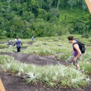 Afbeelding voor Mayedu - Suriname jungle tours