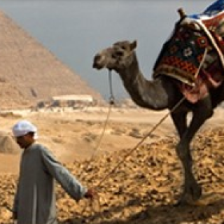 Afbeelding voor Djoser - Rondreis Egypte (Groep)