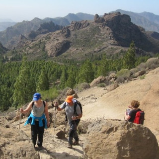 Afbeelding voor SNP - Wandelen Gran Canaria