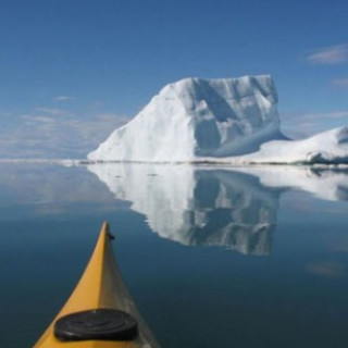 Afbeelding voor Beluga - Kajakken in Canada