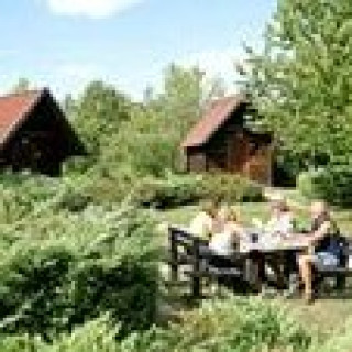 Afbeelding voor TUI - Camping, hotel, rondreis