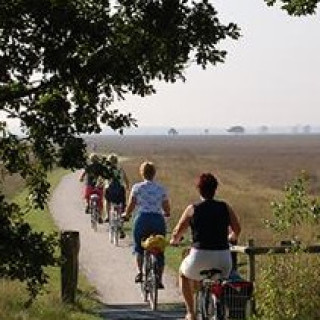 Afbeelding voor ANWB - Fietsen en wandelen