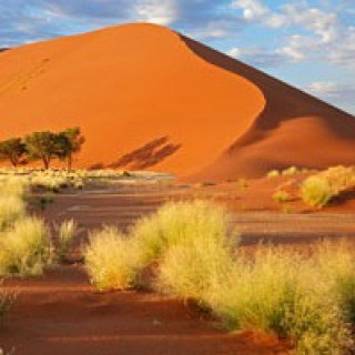 Afbeelding voor Explore Namibia - Namibië specialist