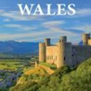 Afbeelding voor Bol - Reisgids Wales