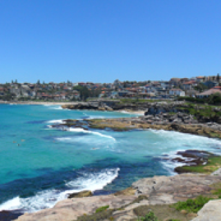Afbeelding voor Riksja Australië - Surfen bij Sydney
