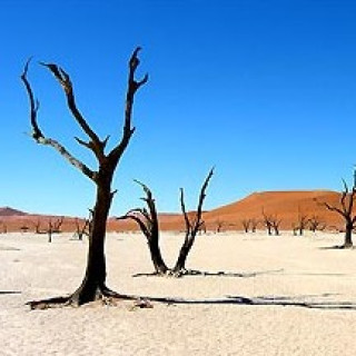 Afbeelding voor Riksja Namibië - Bouwstenen Sossusvlei