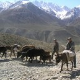 Afbeelding voor Dimsum Reizen - Tadzjikistan individueel