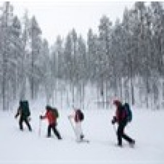 Afbeelding voor SNP - Sneeuwwandelen Finland