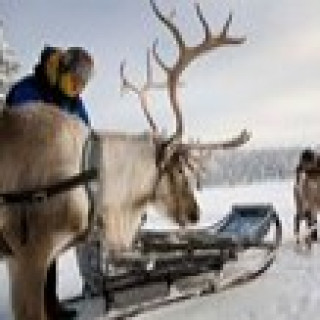 Afbeelding voor SNP - Winter in Lapland