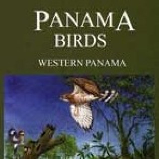 Afbeelding voor TIP - Vogelgidsen Panama