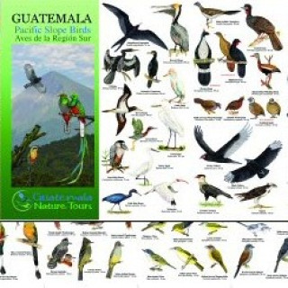 Afbeelding voor TIP - Guatemala vogelgids