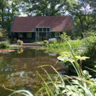 Afbeelding voor Natuurhuisje - Drenthe