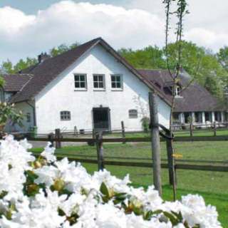 Afbeelding voor Natuurhuisje - Vakantiehuis De Maasduinen