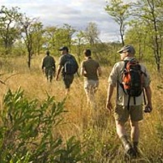 Afbeelding voor Riksja Zuid-Afrika - 4x4 Rondreis (Privé)