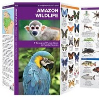 Afbeelding voor TIP - Natuurgidsjes Amazone