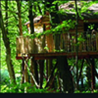 Afbeelding voor Booking.com - Romantische boomhut Spa