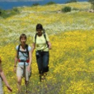 Afbeelding voor SNP - Wandelen zonder bagage op je rug