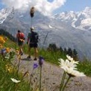 Afbeelding voor ANWB - Vakantie Berner Oberland