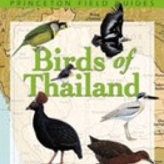 Afbeelding voor De Zwerver - Vogelgids Thailand