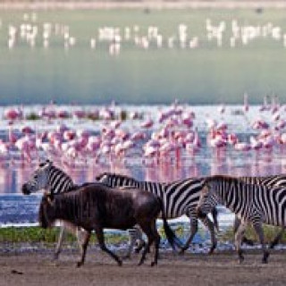 Afbeelding voor Sundowner - Safari Katavi (ind.)