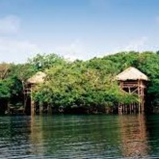 Afbeelding voor Brazilië Reis Specialist - Amazone lodges