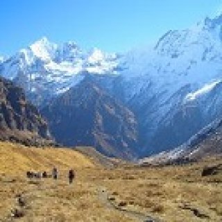 Afbeelding voor TUI - Nepal en India (Groep)