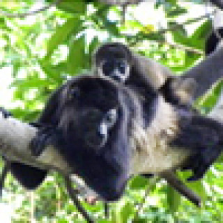 Afbeelding voor Ander Licht Reizen - Wandelen Nicaragua