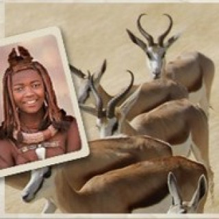 Afbeelding voor Djoser - Kampeerreis Namibië (Groep)
