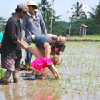 Afbeelding voor Better Places - Bali, Java en Gili met kids