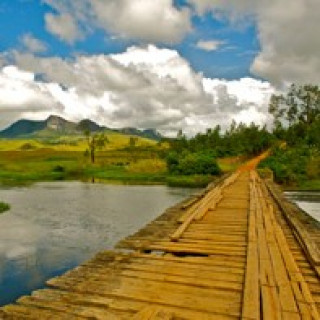 Afbeelding voor Matoke Tours - Vogelen in Madagascar