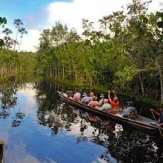 Afbeelding voor Riksja Ecuador - Jungle bouwstenen