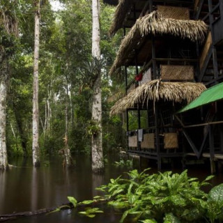 Afbeelding voor Booking.com - Tapir Lodge Cuyabeno
