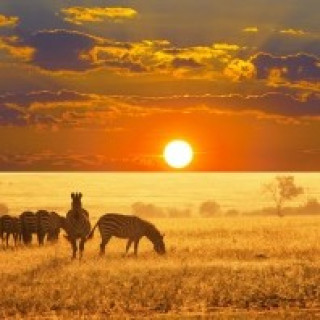 Afbeelding voor 333TRAVEL - Rondreizen Zuid-Afrika