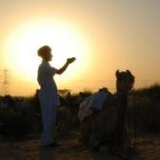 Afbeelding voor Djoser - Rondreizen India