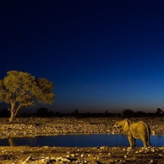 Afbeelding voor Sawadee - Safari Namibië (Groep)
